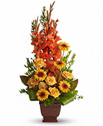 Teleflora's Sentimental Dreams